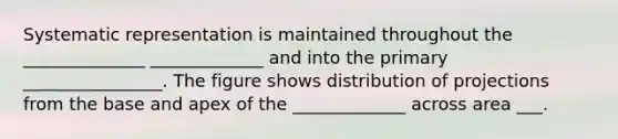 Systematic representation is maintained throughout the ______________ _____________ and into the primary ________________. The figure shows distribution of projections from the base and apex of the _____________ across area ___.