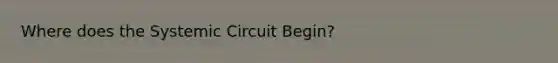 Where does the Systemic Circuit Begin?