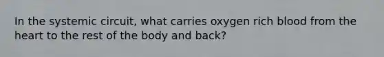 In the systemic circuit, what carries oxygen rich blood from the heart to the rest of the body and back?