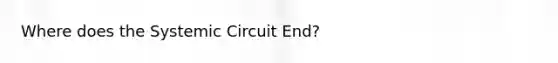 Where does the Systemic Circuit End?