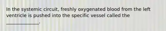 In the systemic circuit, freshly oxygenated blood from the left ventricle is pushed into the specific vessel called the ______________.