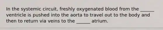 In the systemic circuit, freshly oxygenated blood from the ______ ventricle is pushed into the aorta to travel out to the body and then to return via veins to the ______ atrium.