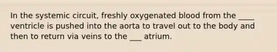 In the systemic circuit, freshly oxygenated blood from the ____ ventricle is pushed into the aorta to travel out to the body and then to return via veins to the ___ atrium.