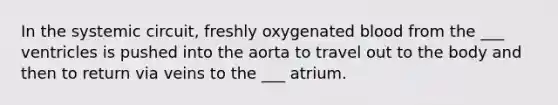 In the systemic circuit, freshly oxygenated blood from the ___ ventricles is pushed into the aorta to travel out to the body and then to return via veins to the ___ atrium.