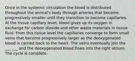 Once in the systemic circulation the blood is distributed throughout the animal's body through arteries that become progressively smaller until they transition to become capillaries. At the tissue capillary level, blood gives up its oxygen in exchange for carbon dioxide and other waste materials in tissue fluid. From this tissue level the capillaries converge to form small veins that become progressively larger as the deoxygenated blood is carried back to the heart. The veins eventually join the ___ ___ and the deoxygenated blood flows into the right atrium. The cycle is complete.