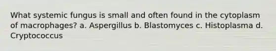 What systemic fungus is small and often found in the cytoplasm of macrophages? a. Aspergillus b. Blastomyces c. Histoplasma d. Cryptococcus