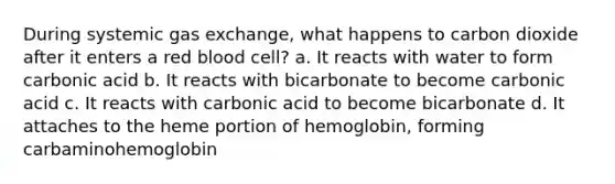 During systemic gas exchange, what happens to carbon dioxide after it enters a red blood cell? a. It reacts with water to form carbonic acid b. It reacts with bicarbonate to become carbonic acid c. It reacts with carbonic acid to become bicarbonate d. It attaches to the heme portion of hemoglobin, forming carbaminohemoglobin