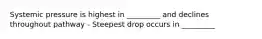 Systemic pressure is highest in _________ and declines throughout pathway - Steepest drop occurs in _________