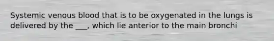 Systemic venous blood that is to be oxygenated in the lungs is delivered by the ___, which lie anterior to the main bronchi