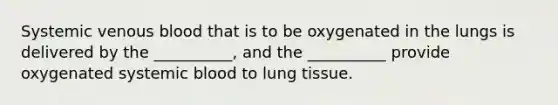 Systemic venous blood that is to be oxygenated in the lungs is delivered by the __________, and the __________ provide oxygenated systemic blood to lung tissue.