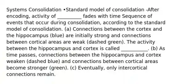 Systems Consolidation •Standard model of consolidation -After encoding, activity of __________ fades with time Sequence of events that occur during consolidation, according to the standard model of consolidation. (a) Connections between the cortex and the hippocampus (blue) are initially strong and connections between cortical areas are weak (dashed green). The activity between the hippocampus and cortex is called ___________. (b) As time passes, connections between the hippocampus and cortex weaken (dashed blue) and connections between cortical areas become stronger (green). (c) Eventually, only intercortical connections remain.