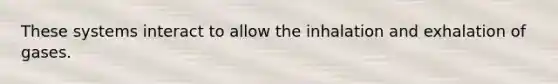 These systems interact to allow the inhalation and exhalation of gases.