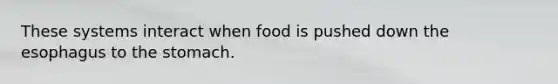 These systems interact when food is pushed down the esophagus to the stomach.