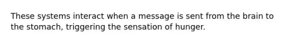 These systems interact when a message is sent from the brain to the stomach, triggering the sensation of hunger.