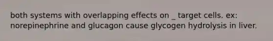 both systems with overlapping effects on _ target cells. ex: norepinephrine and glucagon cause glycogen hydrolysis in liver.