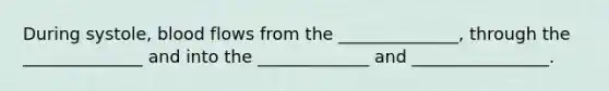 During systole, blood flows from the ______________, through the ______________ and into the _____________ and ________________.