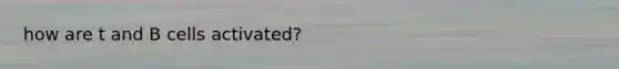 how are t and B cells activated?