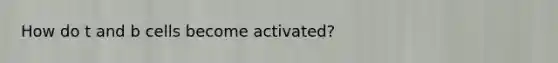 How do t and b cells become activated?