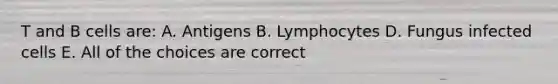 T and B cells are: A. Antigens B. Lymphocytes D. Fungus infected cells E. All of the choices are correct