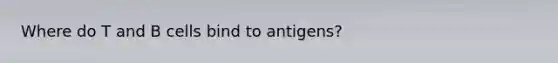 Where do T and B cells bind to antigens?