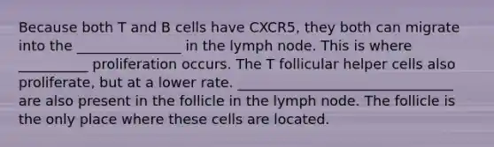 Because both T and B cells have CXCR5, they both can migrate into the _______________ in the lymph node. This is where __________ proliferation occurs. The T follicular helper cells also proliferate, but at a lower rate. _______________________________ are also present in the follicle in the lymph node. The follicle is the only place where these cells are located.