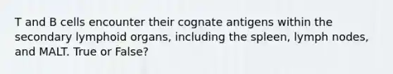 T and B cells encounter their cognate antigens within the secondary lymphoid organs, including the spleen, lymph nodes, and MALT. True or False?