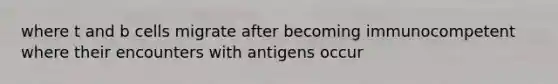 where t and b cells migrate after becoming immunocompetent where their encounters with antigens occur