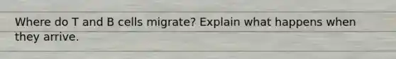 Where do T and B cells migrate? Explain what happens when they arrive.