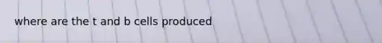 where are the t and b cells produced