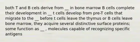 both T and B cels derive from __ in bone marrow B cells complete their development in __ t cells develop from pre-T cells that migrate to the __ before t cells leave the thymus or B cells leave bone marrow, they acquire several distinctive surface proteins; some function as __ , molecules capable of recognizing specific antigens