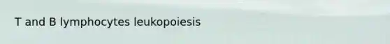 T and B lymphocytes leukopoiesis