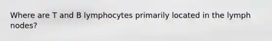 Where are T and B lymphocytes primarily located in the lymph nodes?