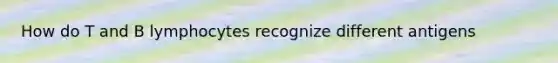 How do T and B lymphocytes recognize different antigens