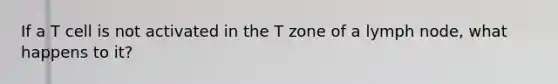 If a T cell is not activated in the T zone of a lymph node, what happens to it?