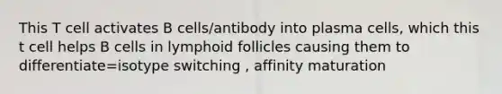 This T cell activates B cells/antibody into plasma cells, which this t cell helps B cells in lymphoid follicles causing them to differentiate=isotype switching , affinity maturation