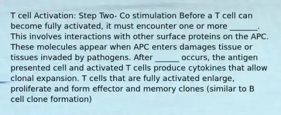 T cell Activation: Step Two- Co stimulation Before a T cell can become fully activated, it must encounter one or more _______. This involves interactions with other surface proteins on the APC. These molecules appear when APC enters damages tissue or tissues invaded by pathogens. After ______ occurs, the antigen presented cell and activated T cells produce cytokines that allow clonal expansion. T cells that are fully activated enlarge, proliferate and form effector and memory clones (similar to B cell clone formation)