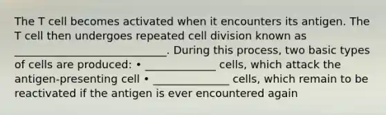 The T cell becomes activated when it encounters its antigen. The T cell then undergoes repeated cell division known as ____________________________. During this process, two basic types of cells are produced: • _____________ cells, which attack the antigen-presenting cell • ______________ cells, which remain to be reactivated if the antigen is ever encountered again