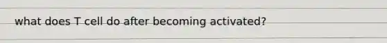 what does T cell do after becoming activated?