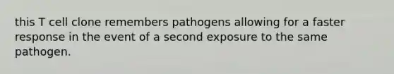 this T cell clone remembers pathogens allowing for a faster response in the event of a second exposure to the same pathogen.