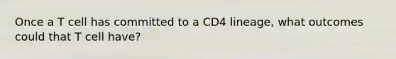 Once a T cell has committed to a CD4 lineage, what outcomes could that T cell have?