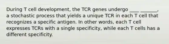 During T cell development, the TCR genes undergo ____ _______, a stochastic process that yields a unique TCR in each T cell that recognizes a specific antigen. In other words, each T cell expresses TCRs with a single specificity, while each T cells has a different specificity.