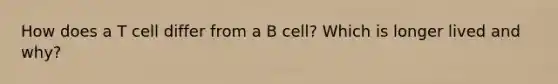 How does a T cell differ from a B cell? Which is longer lived and why?