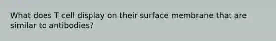 What does T cell display on their surface membrane that are similar to antibodies?