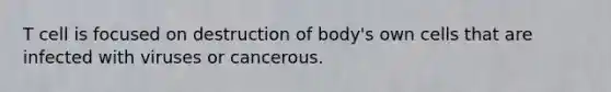 T cell is focused on destruction of body's own cells that are infected with viruses or cancerous.