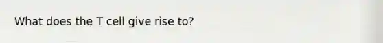 What does the T cell give rise to?