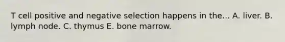 T cell positive and negative selection happens in the... A. liver. B. lymph node. C. thymus E. bone marrow.