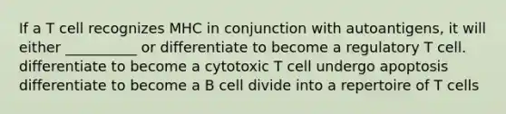 If a T cell recognizes MHC in conjunction with autoantigens, it will either __________ or differentiate to become a regulatory T cell. differentiate to become a cytotoxic T cell undergo apoptosis differentiate to become a B cell divide into a repertoire of T cells