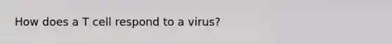 How does a T cell respond to a virus?