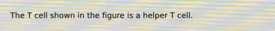 The T cell shown in the figure is a helper T cell.