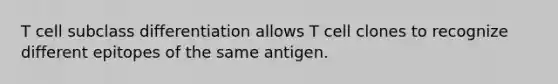 T cell subclass differentiation allows T cell clones to recognize different epitopes of the same antigen.